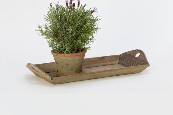 Fasen mipame hazen pima