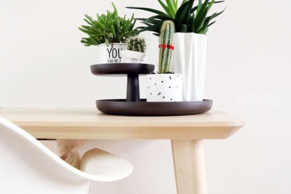 Etiam vulputate convallis